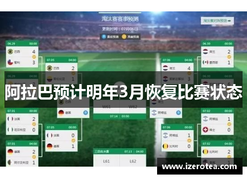 阿拉巴预计明年3月恢复比赛状态